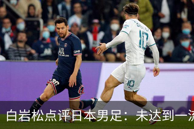 白岩松点评日本男足：未达到一流强队标准，仍需克服对荷兰的恐惧